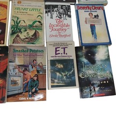 Early Chapter Books Boys Interest Lot of 26 Grade 3-6 Vintage & Modern