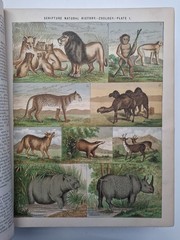 Antique 1873 Complete Domestic Bible Illus. Leather Apocrypha Maps Travels