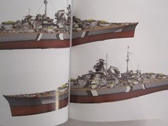 The Battleship Bismarck (Anatomy of The Ship) Hardcover, 256 pages