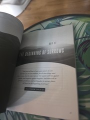 Understanding Biblical Prophecy: A 30-Day Bible Study