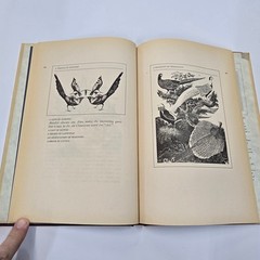 An Exaltation of Larks by James Lipton HC 1977 Expanded 2nd Edition Viking Press