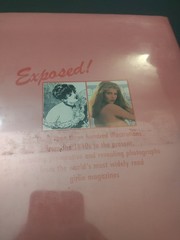 Vintage Illustrated History Of Girlie Magazines Mark Gabor Harmony Pink HC 1984