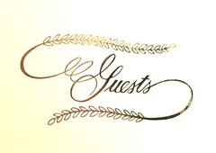 NIB VICTORIA LYNN Wedding GUEST BOOK EMBOSSED GOLD FRONT 32 Double Side Pages