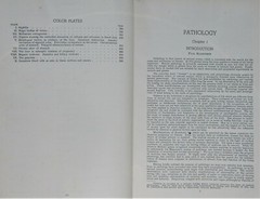 Pathology W A D Anderson 1948 1E Medical MD vintage reference disease photos