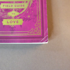 Ornithologist’s Field Guide to Love, India Holton 1st Ed. 2024 Paperback Book