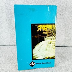 Galatians: Grace Alone David L. Moore 1979 Bible Study Christian Paperback RBP