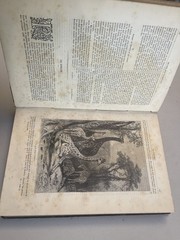 Antique Book „MUSÉE DES FAMILLES” From The Year 1888 Paris Bound Volumes Magazin