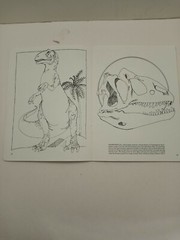 Vintage The Dinosaur Coloring Book by Anthony Rao Dover Publishing 46 Pgs 1980.
