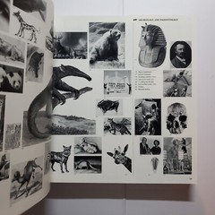 Graphic Arts and Photography, Bettmann Portable Archive, 1993 Hardcover