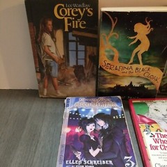 Lot of 10 Mixed Random Children’s Books and Young Adult Novels, Classic Stories
