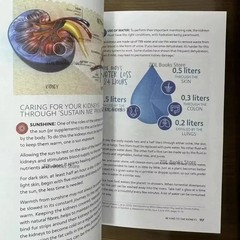 Spiral Bound Sustain Me A Handbook of Natural Remedies Barbara O’Neill