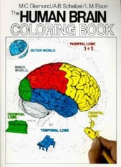 The Human Brain Coloring Book (Coloring Concepts Series) – Paperback – GOOD