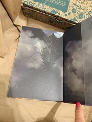 Goldfinch SIGNED Raven Kennedy The Plated Prisoner series Exclusive Luxe Edition
