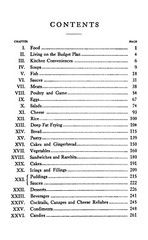 1914 Culinary Echoes From Dixie Cook Book 282 Pages
