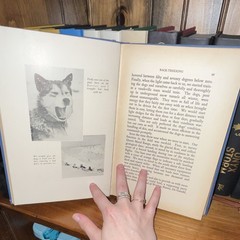 By Dog Sled for Byrd: 1800 Miles Across Antarctic Ice O’Brien HC Illus 1931
