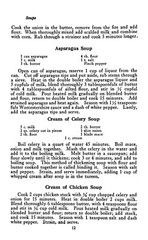 1914 Culinary Echoes From Dixie Cook Book 282 Pages