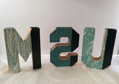 Decor MSU Mich State Univ Cut Letters Readers Digest Condensed Books Dorm Grad
