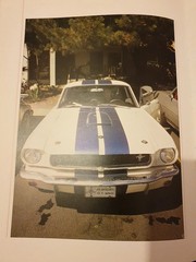 Mustang America’s Legend Book – 128 Pages of Mustang