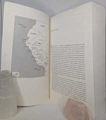 The Peru Reader: History, Culture, Politics by Robin Kirk (2005, Perfect) VG
