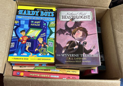 Lot of 39 Grade 3-6 Chapter Books Novels 15lbs / G. Stilton, Beverly Cleary etc.