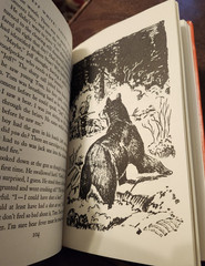 Jeff White, Young Guide, by Lew Dietz, Maine, HB, Illustrated by Moyers