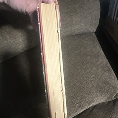 Secret Missions Of The Civil War