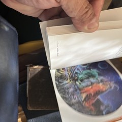 A SUSAN SEDDON BOULET BESTIARY: A BOOK OF POSTCARDS