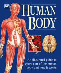 Human Body: An Illustrated Guide to Every Part of the Human Body and How It …