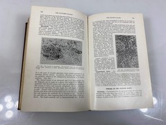 Text-Book of Pathology by Boyd 1941 HC