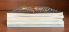 You Choose Books Lot of 5 ~ An Interactive History Adventure ~ Capstone