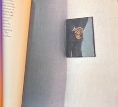 Francis Alÿs The Prophet and the Fly Text by Catherine Lampert