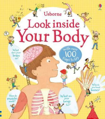 Look Inside Your Body (Look Inside Board Books) – Hardcover – GOOD
