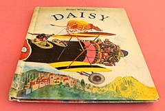 DAISY—Hrdcover—1984 BRIAN WILDSMITH—UNIQUE PAGES FORMAT—CHARMING COLOR ILLUSTRAT