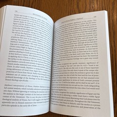 Beginning At Moses By Michael P. V. Barrett PB