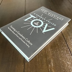 A Church Called Tov: Forming a Goodness Culture that Resists Abuses of Po – GOOD