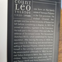 Anna Karenina Paperback Soft Cover Leo Tolstoy 800+ Pages Y2K Edition