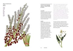 Herbal Handbook: 51 Profiles in Words and Art from the Rare Book and Folio Colle