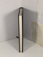Death Note Another Note The Los Angeles BB Murder Cases Book