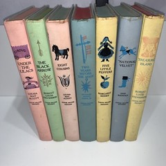 7 Junior Deluxe Editions Hardcover Books Lot 7 Books Varied Author’s