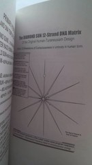 Angelic Realities: THE Survival Handbook (Voyagers) by Ashayana Deane