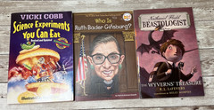 Lot of 39 Grade 3-6 Chapter Books Novels 15lbs / G. Stilton, Beverly Cleary etc.