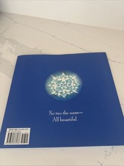 Snowflakes Fall by Patricia Maclachlan (2013, Picture Book)