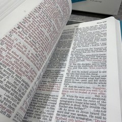 Thomas Nelson Giant Print Holy Bible (NKJV) – Aqua