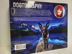 Dogtography by Kaylee Greer ROCKY Nook Trade Paperback 2020 Photography