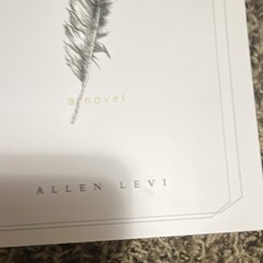 Theo of Golden Allen Levi Paperback Fiction Novel Kindness Creative Generosity