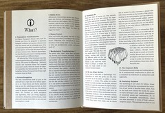 David Byrne Arboretum McSweeney’s 2006 Conceptual Art Book Illustrated