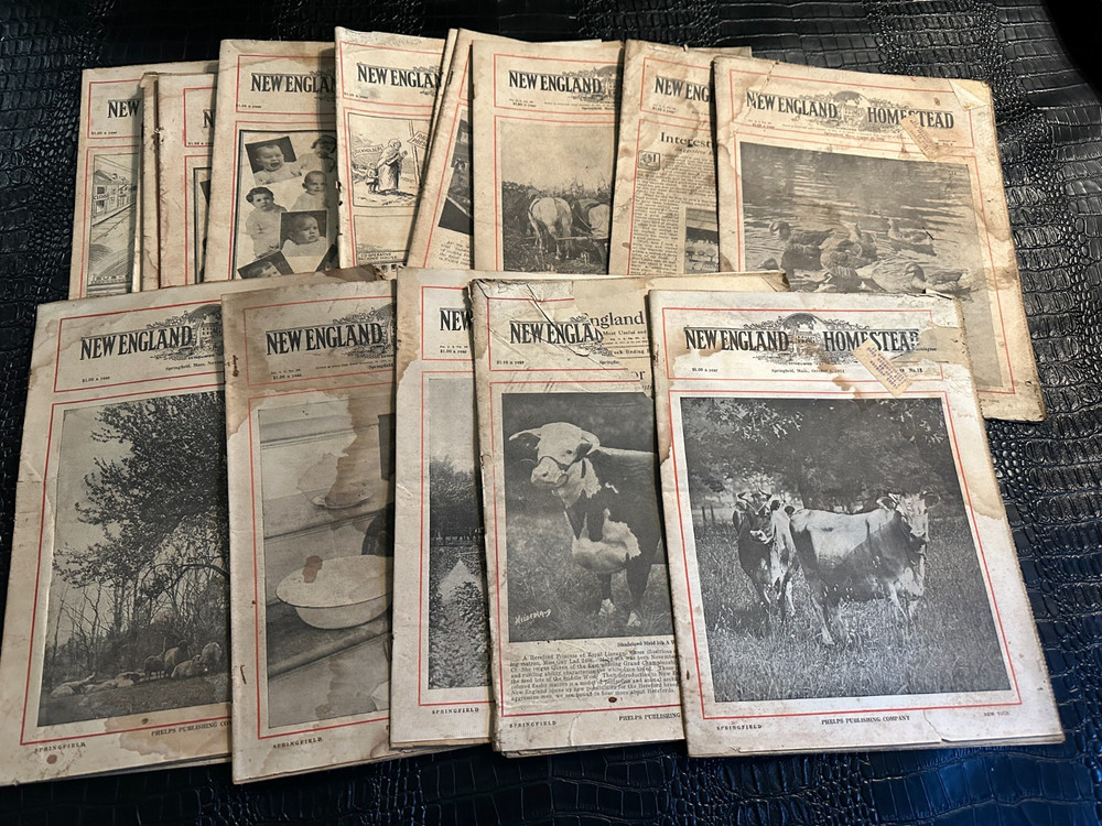 Lot of 23 Antique Farming magazines (S5) NEW ENGLAND HOMESTEAD