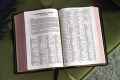 KJV, Thompson Chain-Reference Bible, Large Print, Genuine Leather, Cowhide,
