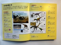 Japanese Childrens Dinasars book Shogakukan Encyclopedia NEO 180 pages