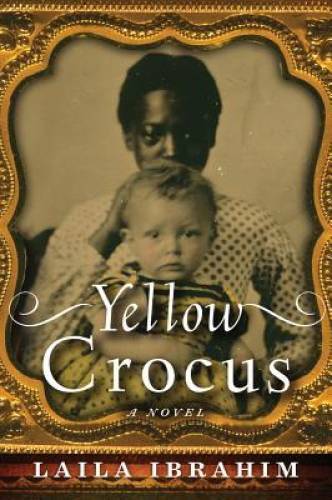Yellow Crocus – Paperback By Ibrahim, Laila – GOOD